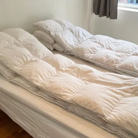 Dinbnb L 700m To Aquarium I 6th Floor And Elevator - Value For The Money * 베르겐