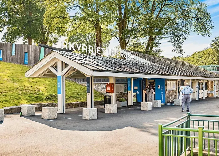 Dinbnb L 700m To Aquarium I 6th Floor And Elevator - Value For The Money Bergen